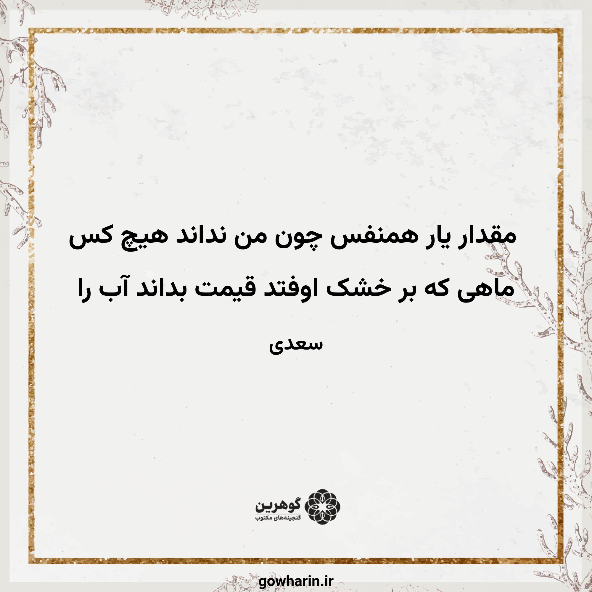 مقدار یار همنفس چون من نداند هیچ کس
ماهی که بر خشک اوفتد قیمت بداند آب را