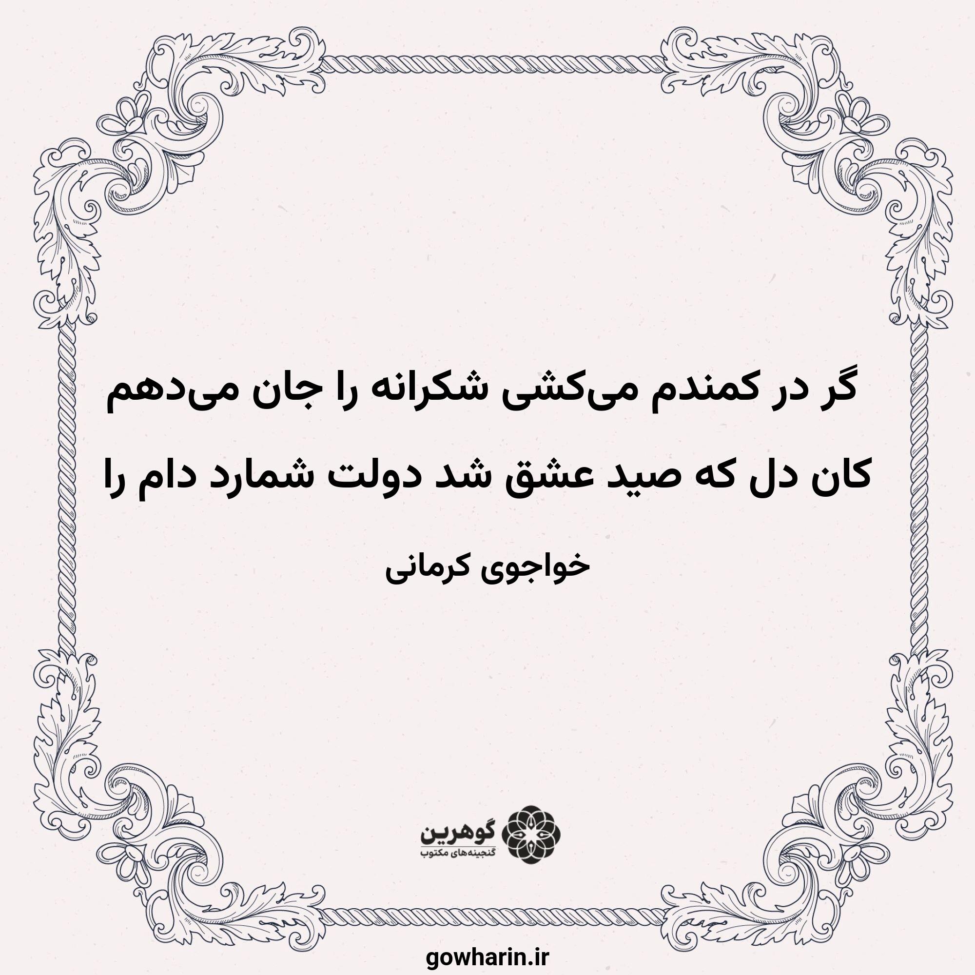 گر در کمندم می‌کشی شکرانه را جان می‌دهم
کان دل که صید عشق شد دولت شمارد دام را