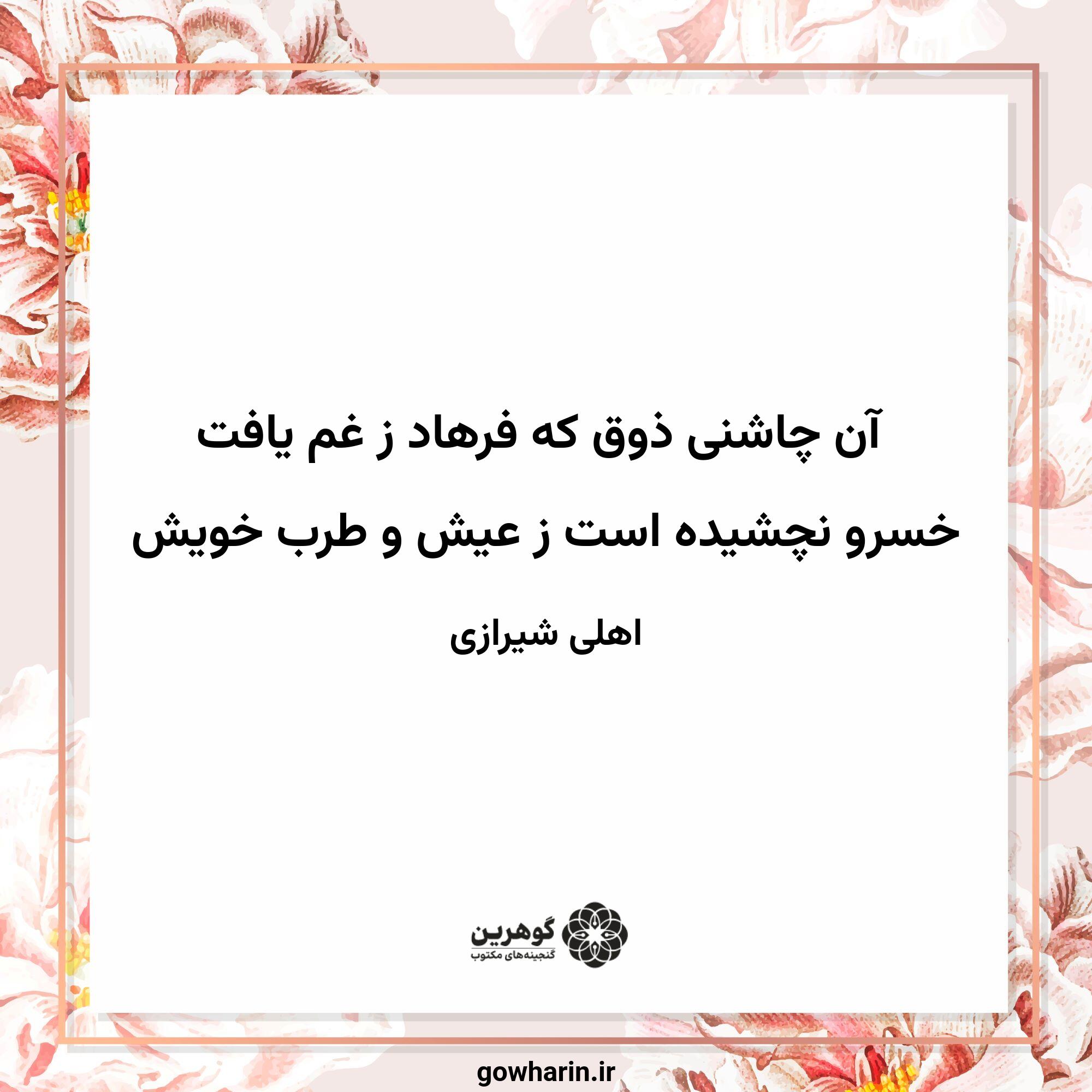 آن چاشنی ذوق که فرهاد ز غم یافت
خسرو نچشیده است ز عیش و طرب خویش