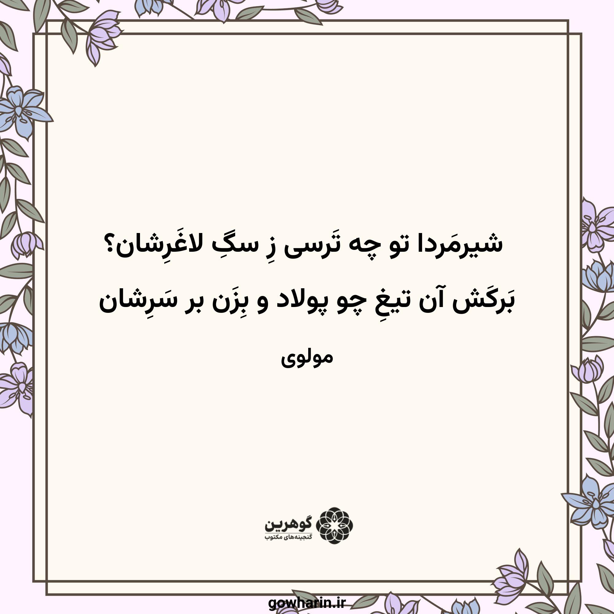 شیرمَردا تو چه تَرسی زِ سگِ لاغَرِشان؟
بَرکَش آن تیغِ چو پولاد و بِزَن بر سَرِشان