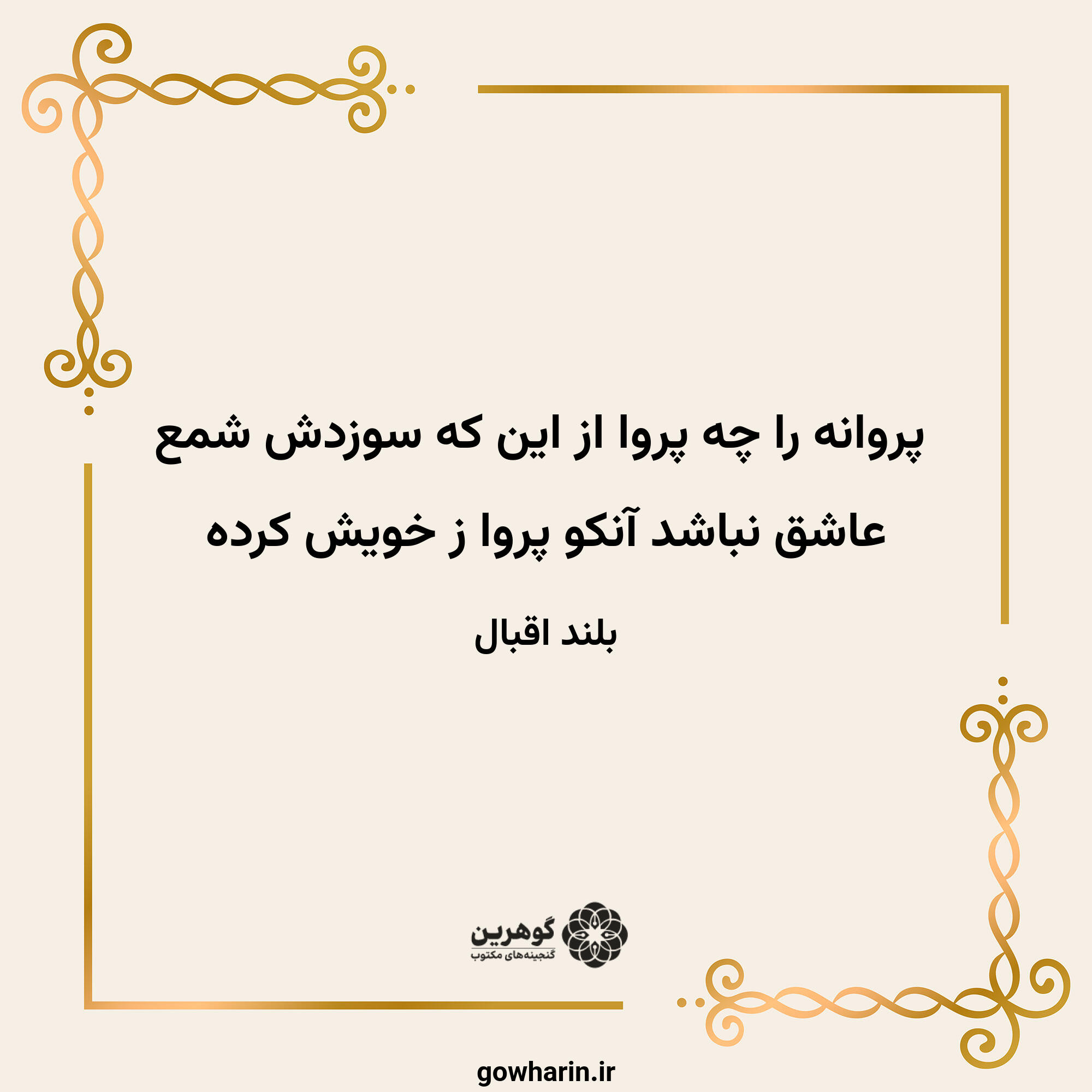 پروانه را چه پروا از این که سوزدش شمع
عاشق نباشد آنکو پروا ز خویش کرده