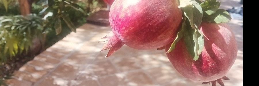 تصویر اثر