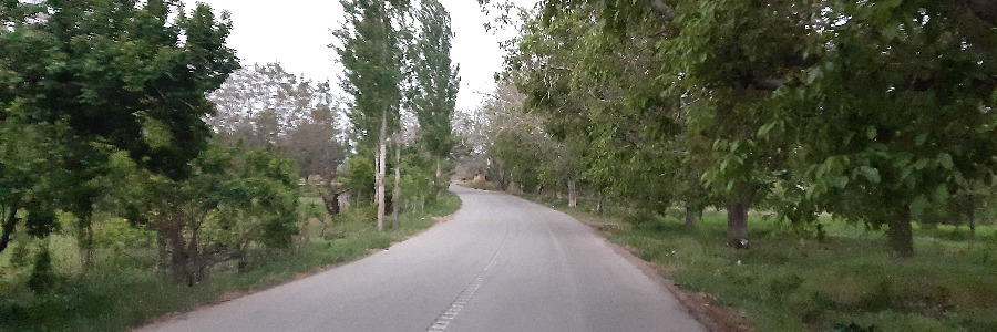 تصویر اثر
